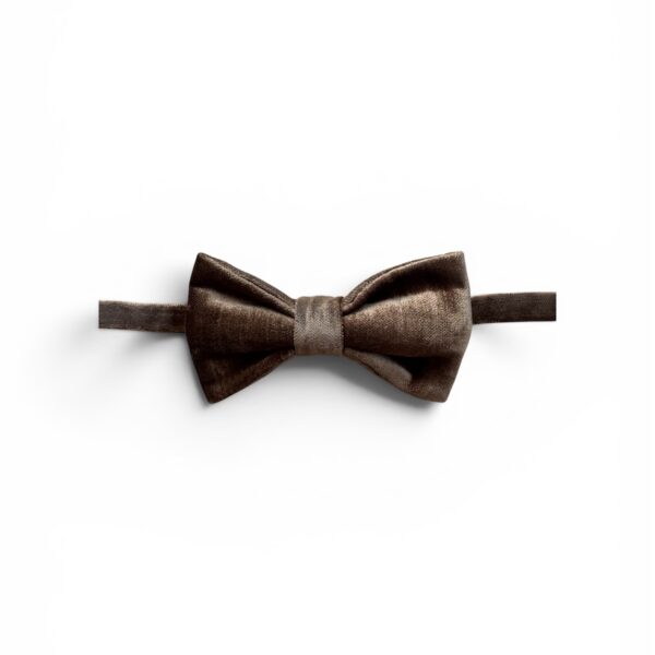 Dark Gold Velvet Bow Tie